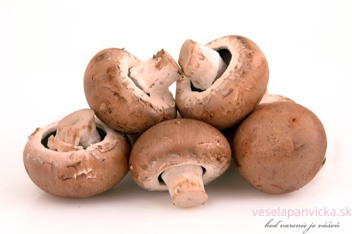 chestnut mushroom